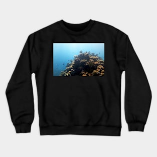 Coral Crewneck Sweatshirt